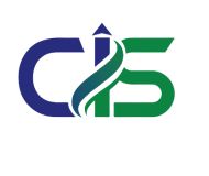 Corporate Assurance Partners